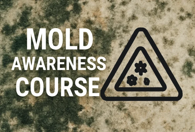 ChatGPT Image Dec 9, 2025, 01_49_30 PM