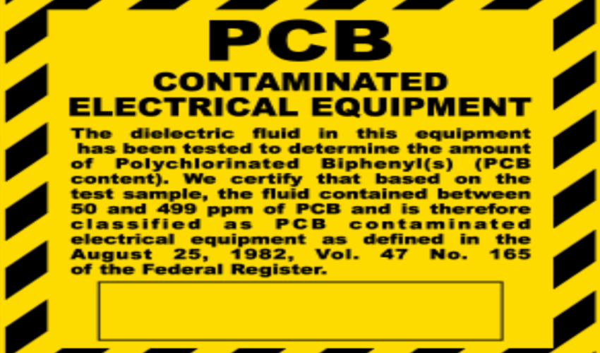 Untitled design (37)