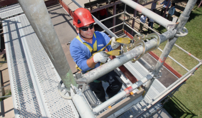 Untitled design (40)