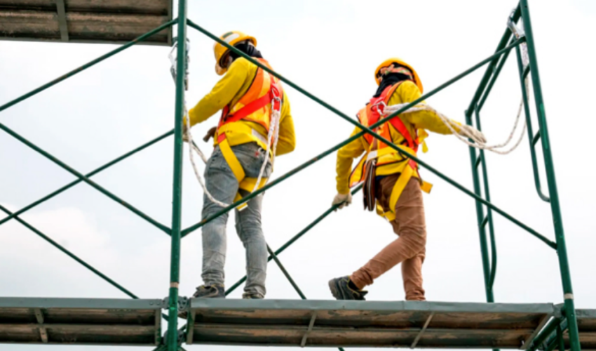 Untitled design (41)